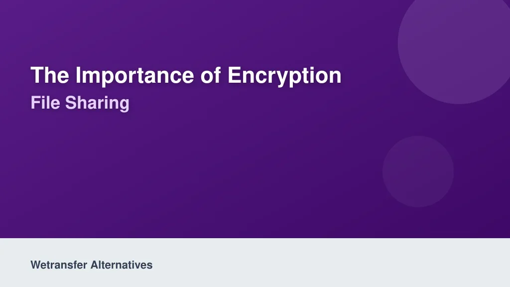 The Importance of Encryption in Modern File Sharing