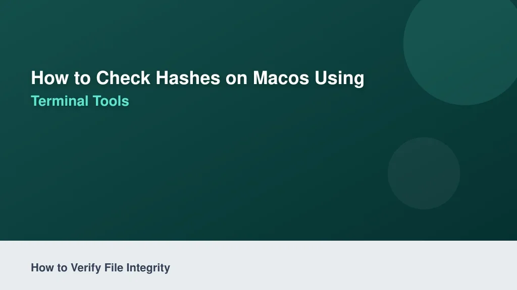 How to Check Hashes on macOS Using Native Terminal Tools