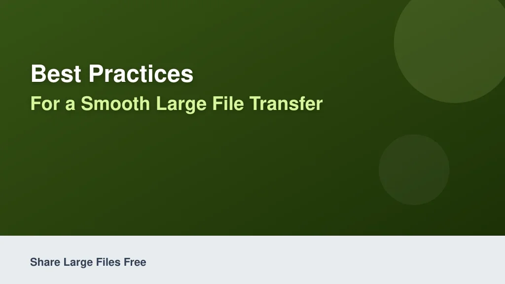 Best Practices for a Smooth Large File Transfer Experience